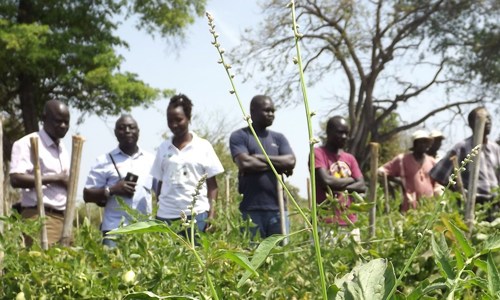 Model Farmers 1